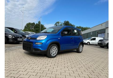 Fiat Panda #1