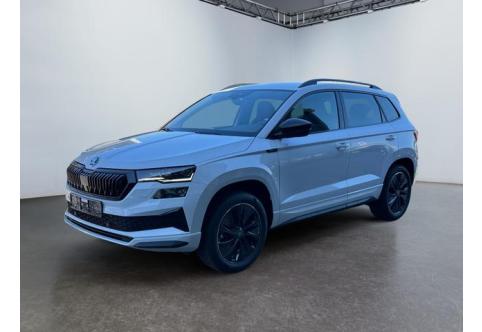 Skoda Karoq #1
