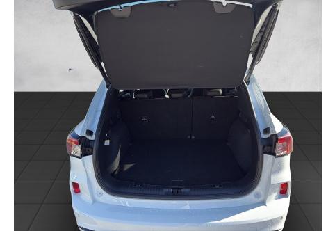 Ford Kuga #9