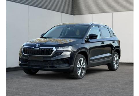 Skoda Karoq #1