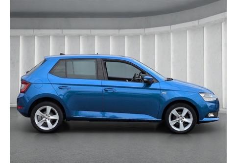Skoda Fabia #5