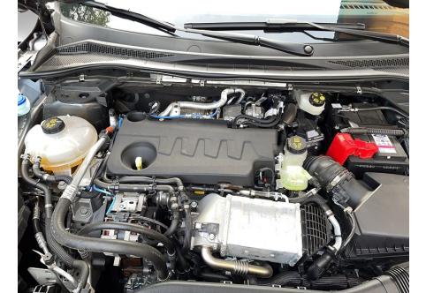 Ford Kuga #13
