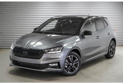 Skoda Fabia #1