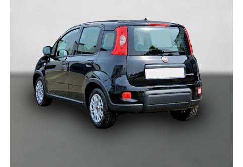 Fiat Panda #1
