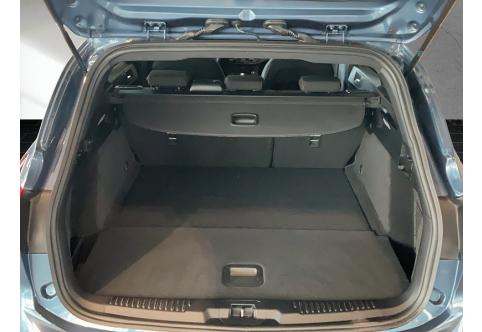 Ford Focus #11