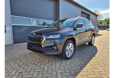 Skoda Karoq #1