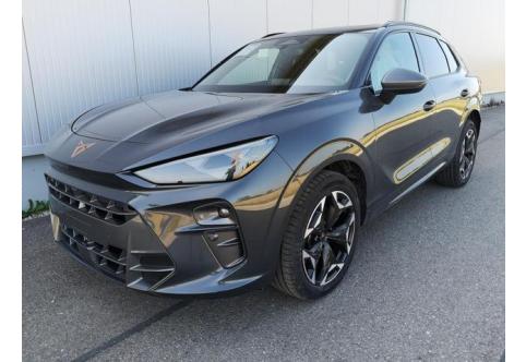 Cupra Terramar #2
