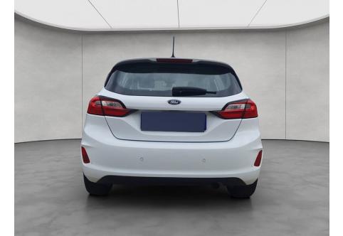 Ford Fiesta #4