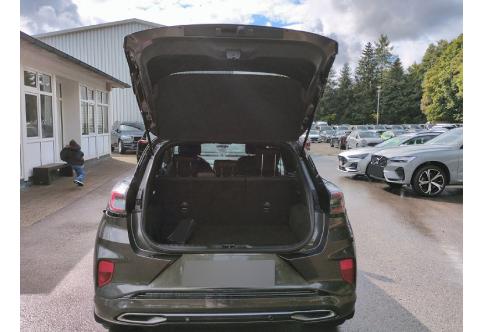 Ford Puma #21