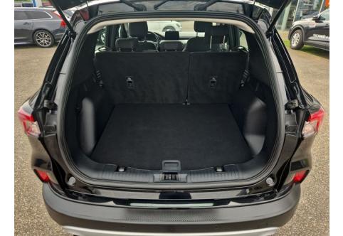 Ford Kuga #22