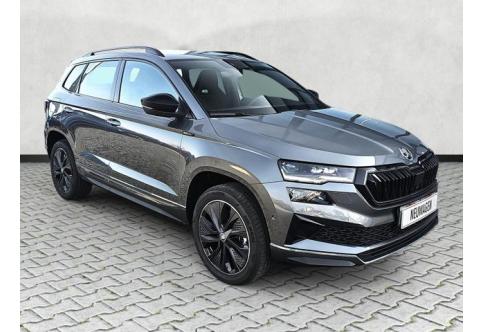 Skoda Karoq #1