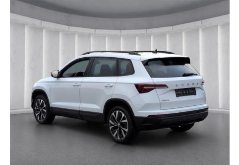 Skoda Karoq #19