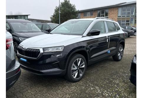 Skoda Karoq #1