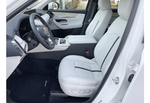 Mazda CX-60 #12