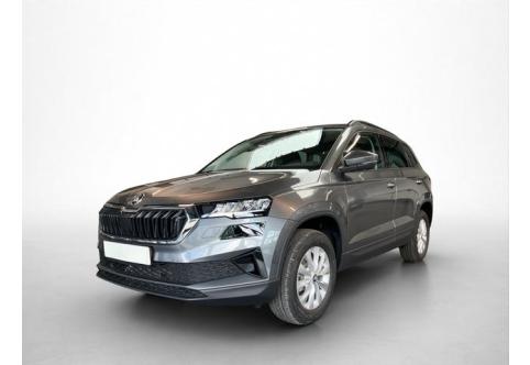 Skoda Karoq #1