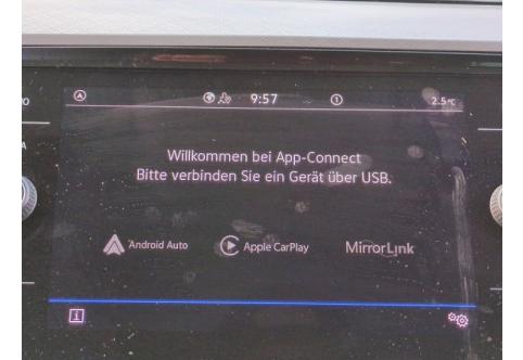VW Passat #18