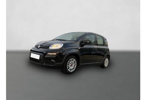 Fiat Panda #1