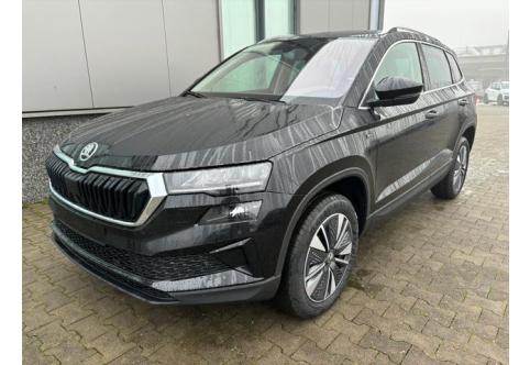 Skoda Karoq #2