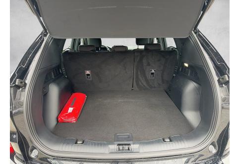 Ford Kuga #10