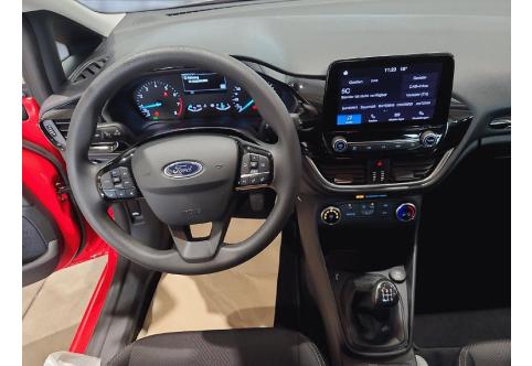 Ford Fiesta #12