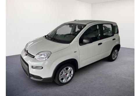 Fiat Panda #1