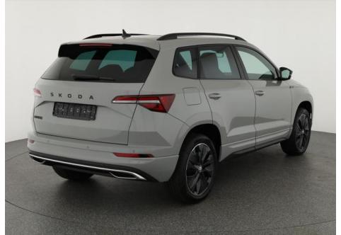 Skoda Karoq #1