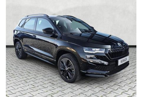 Skoda Karoq #1