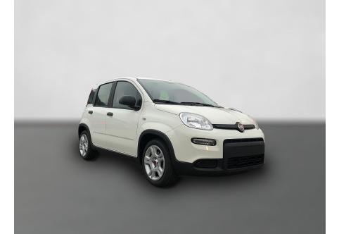 Fiat Panda #4