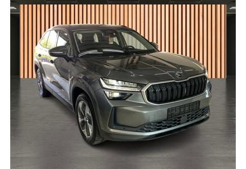 Skoda Kodiaq #14