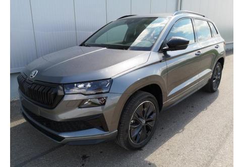 Skoda Karoq #1