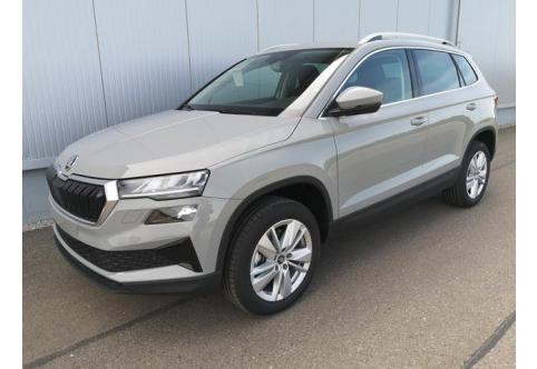 Skoda Karoq #1