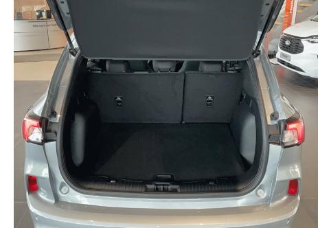 Ford Kuga #22