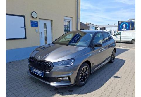 Skoda Fabia #1