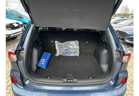 Ford Kuga #9