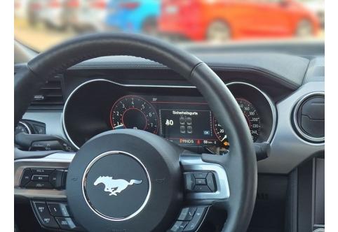 Ford Mustang #18