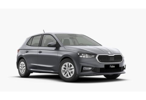 Skoda Fabia #1