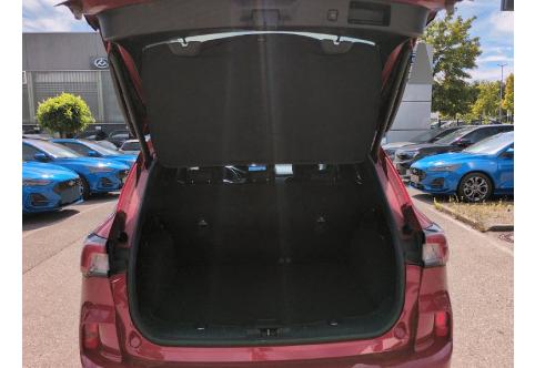Ford Kuga #21