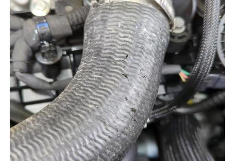 Renault Grand Scenic #2