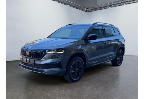 Skoda Karoq #3