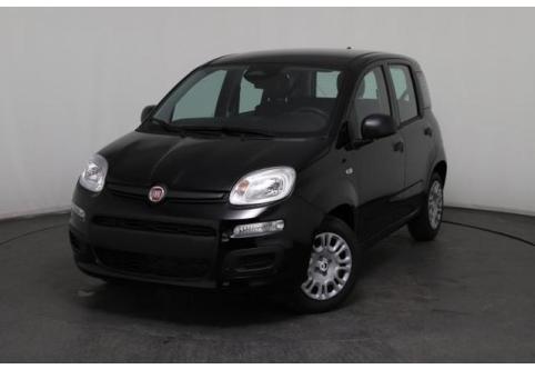 Fiat Panda #2