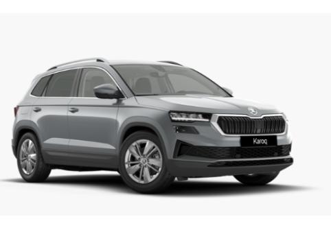 Skoda Karoq #1