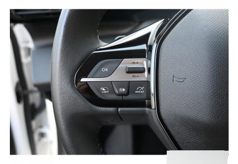 Peugeot 308 #17