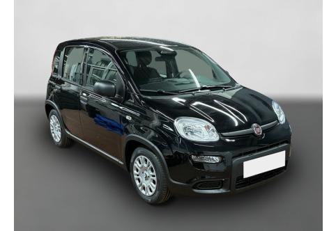 Fiat Panda #7