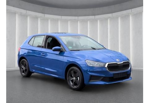 Skoda Fabia #18