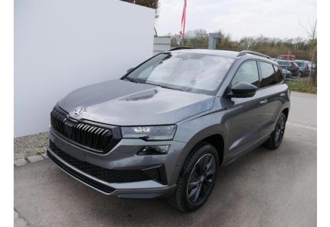 Skoda Karoq #1