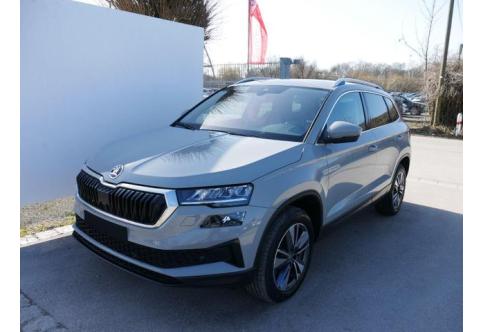 Skoda Karoq #1