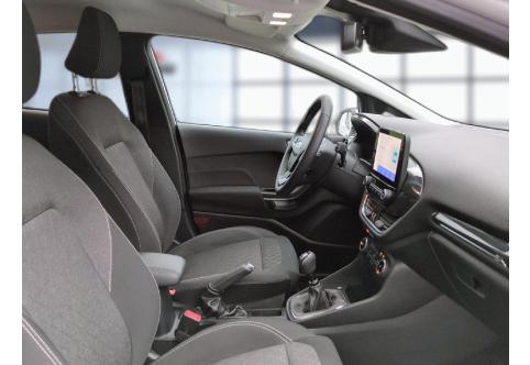 Ford Fiesta #21