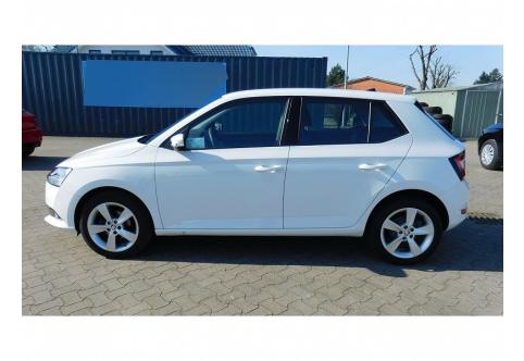 Skoda Fabia #1