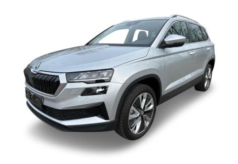 Skoda Karoq #1