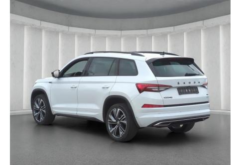 Skoda Kodiaq #19